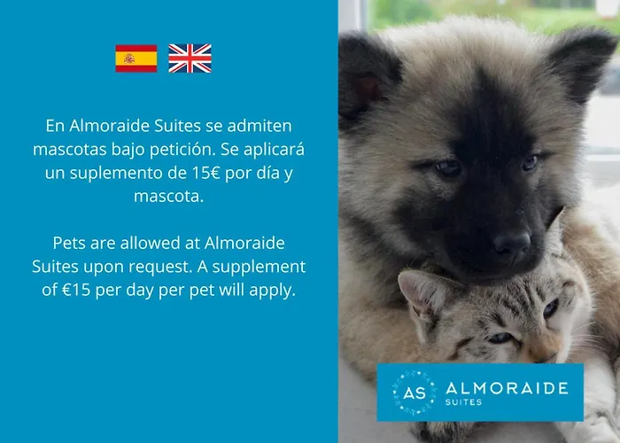 At Almoraide (adults Only) Appartement